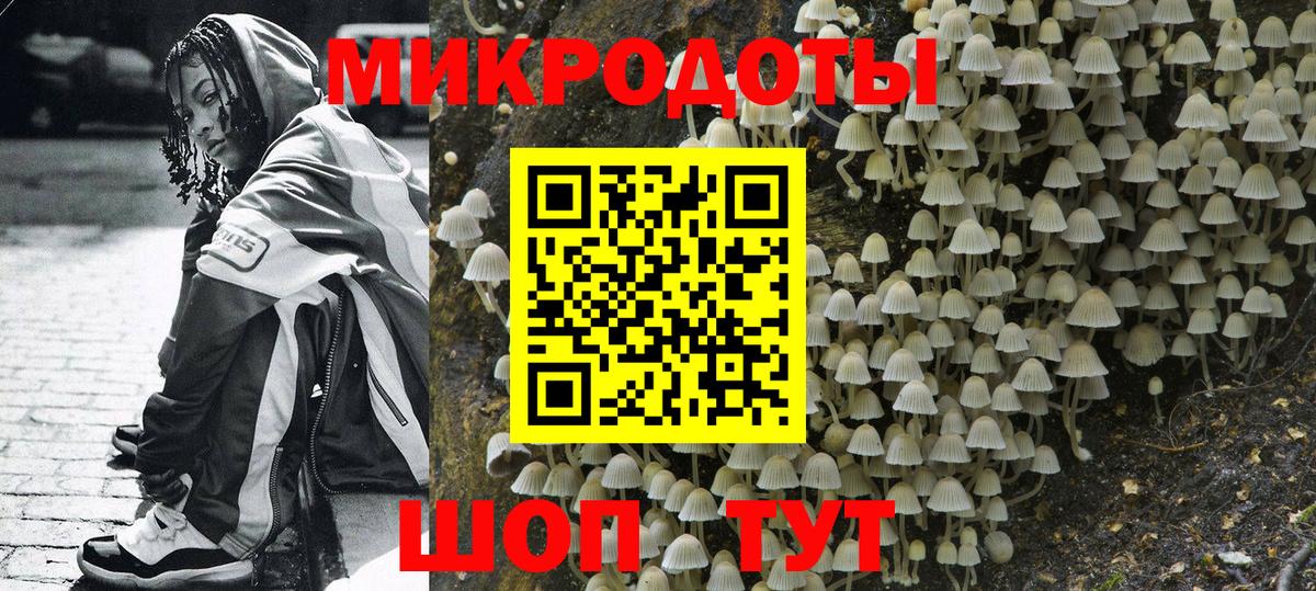 Камень-на-Оби  где найти   Псилоцибиновые грибы ЛСД  Вход с VPN  Псилоцибиновые грибы прущие грибы 